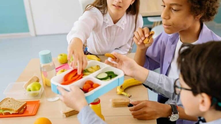 Hérault : une aide à la restauration des collégiens selon les revenus