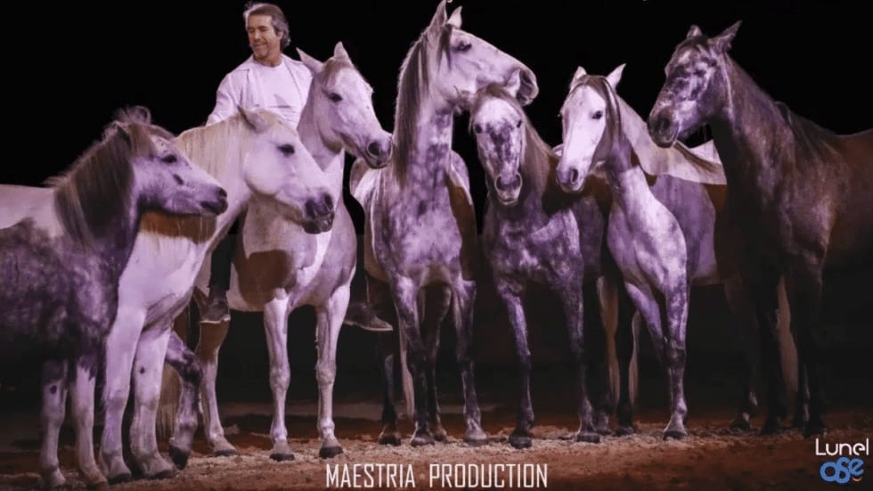 La Cavalerie Enchantée aux arènes de Lunel