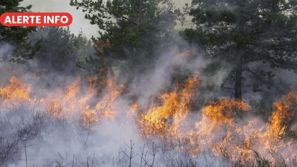 ALERTE INFO - photo d'illustration - Infoccitanie