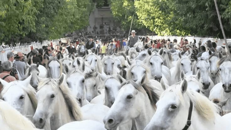 Lunel : Pescalune 2025, le programme des festivités dévoilé !