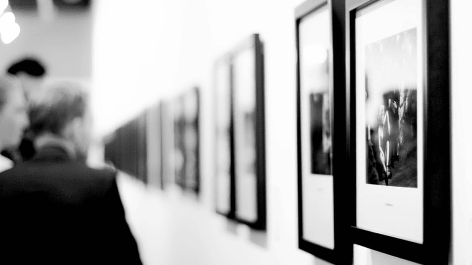 Montpellier : votez pour votre photo préférée à l’exposition annuelle de l’Université du Tiers Temps