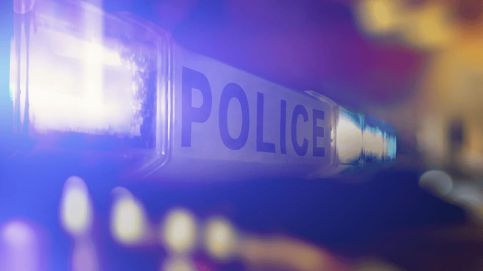Plus de 500 verbalisations dressées pour la rave party de Claret