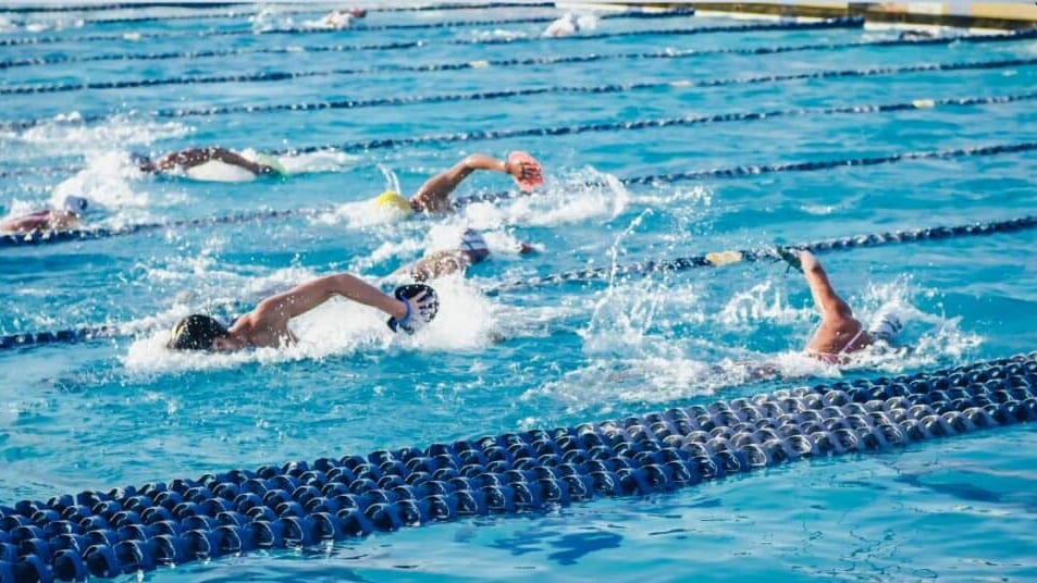 JO 2024 : l’une des meilleures équipes de natation du monde s’entraîne dans la région
