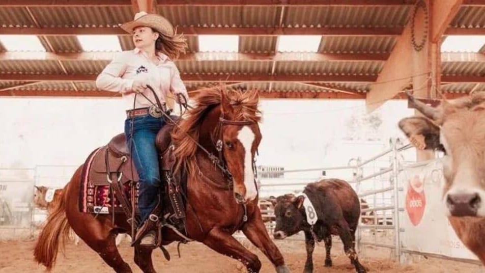 Gard : le plus grand événement français d’équitation western revient