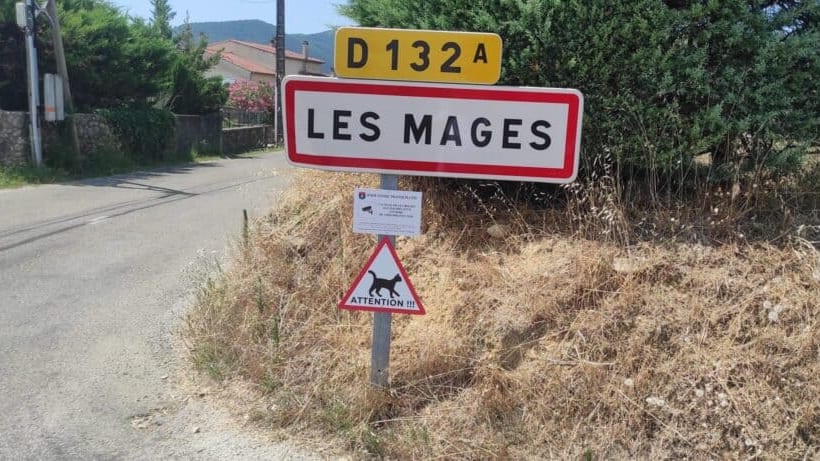 Gard : des panneaux « attention aux chats » pour alerter les automobilistes