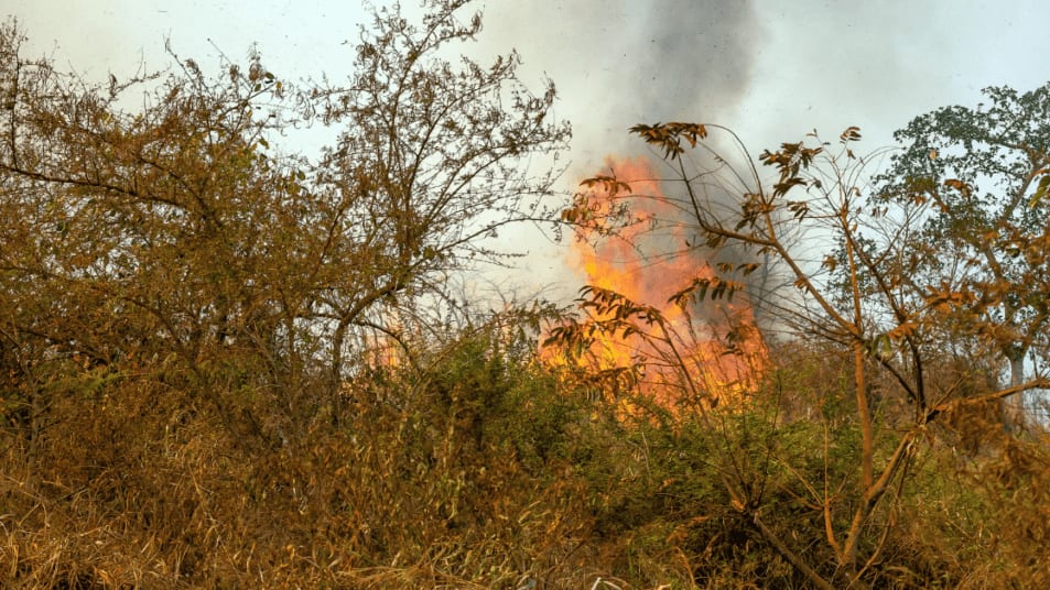 Pyrénées-Orientales : l’est du département placé en risque élevé d’incendie