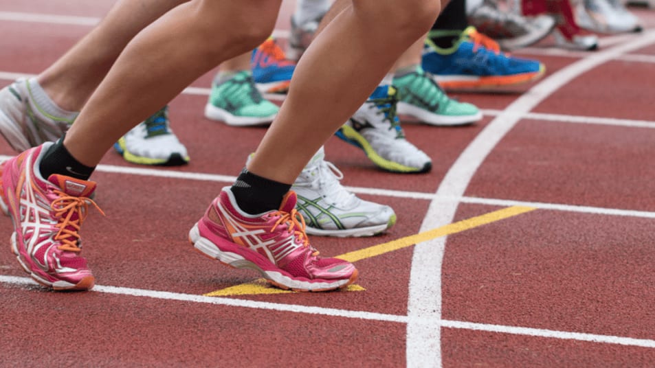 Haute-Garonne : une exposition en l’honneur des acteurs du sport haut-garonnais à l’Hôtel du Département