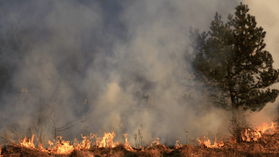 Hérault : les massifs de Montpellier placés en vigilance orange ce mercredi 3 juillet