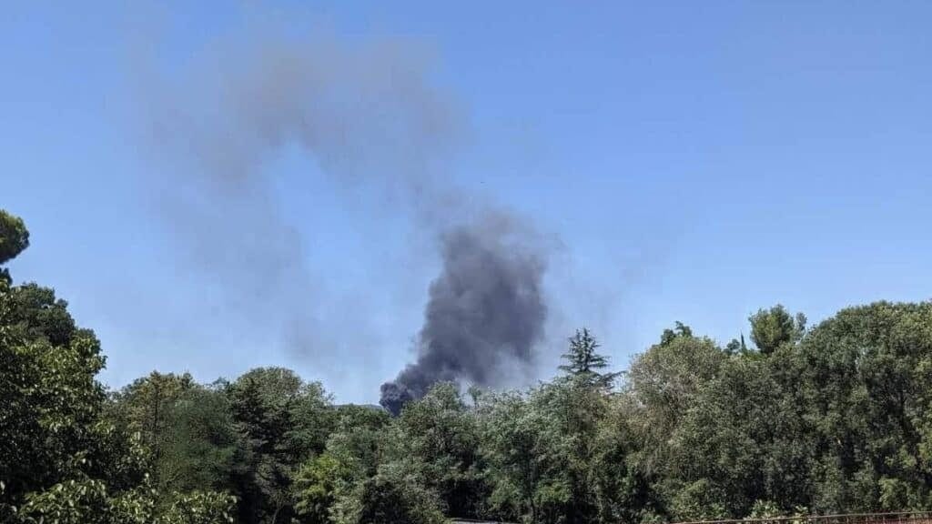 Feu de végétation près de Pignan dans l'Hérault