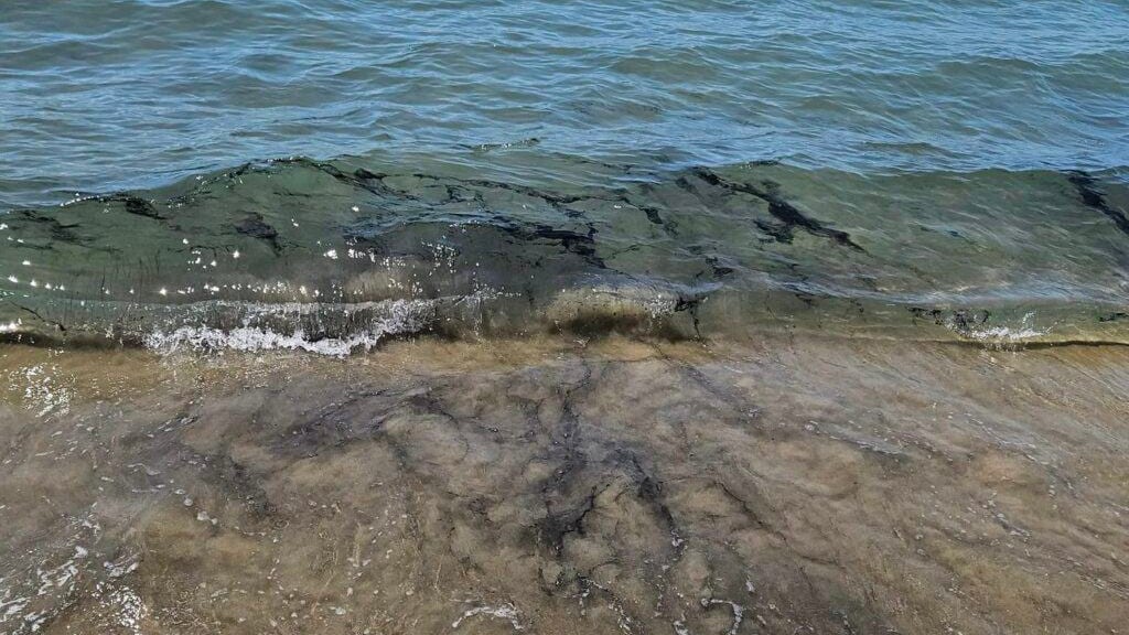 Pollution sur le littoral du Grau-du-Roi : la préfecture du Gard fait le point
