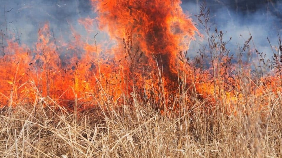 incendie météo