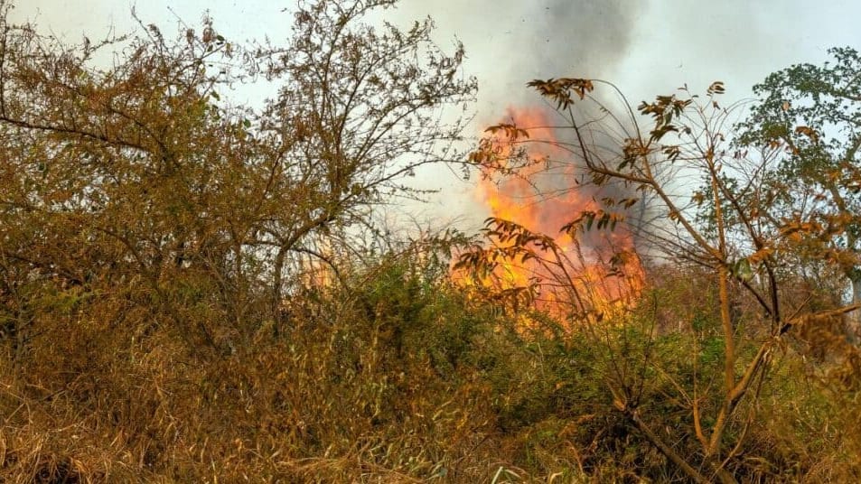 Incendie / Feu