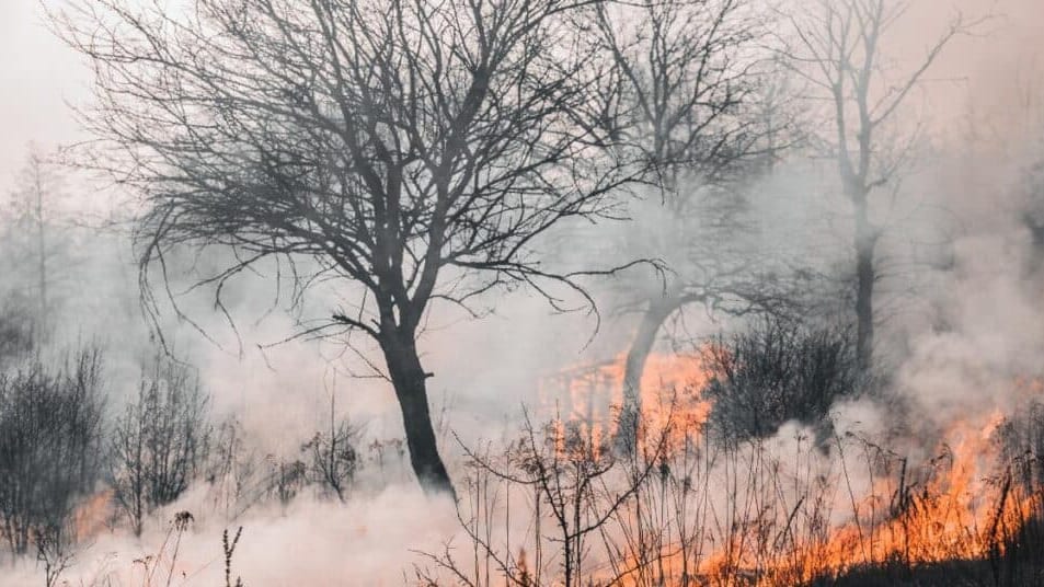 Incendie sur l'A75 - Photo d'illustration