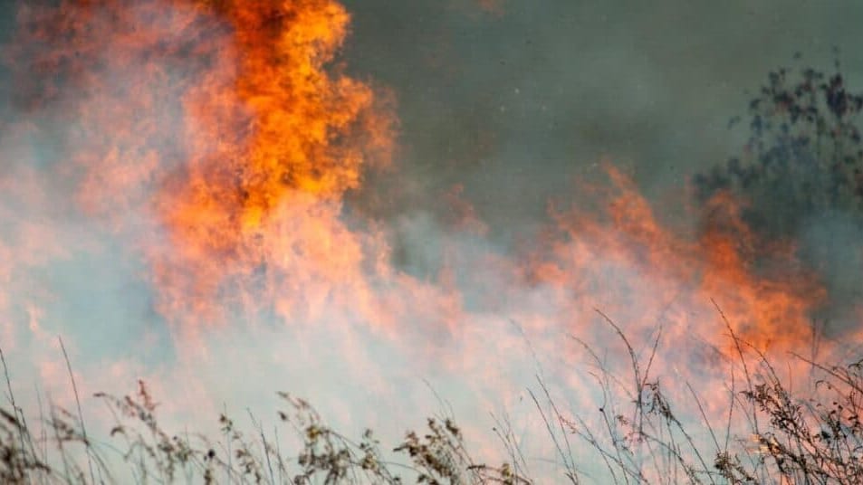 Hérault : risque d’incendie toujours élevé dans le sud du département
