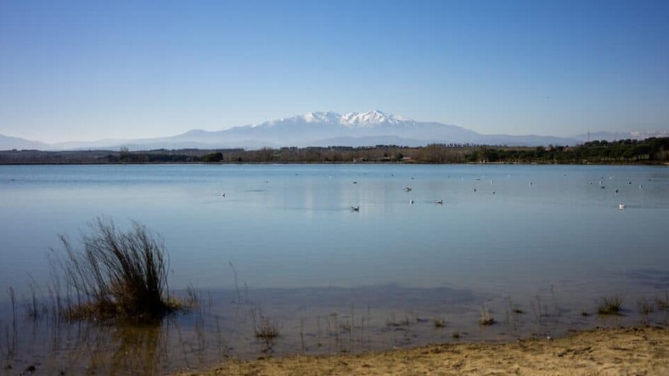 Pyrénées-Orientales : des cyanotoxines détectées dans un lac, la baignade interdite