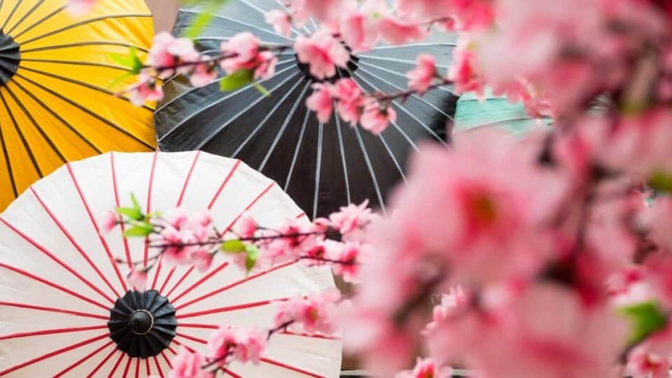 Montpellier : le Nishiki Japan, le premier salon dédié aux traditions japonaises