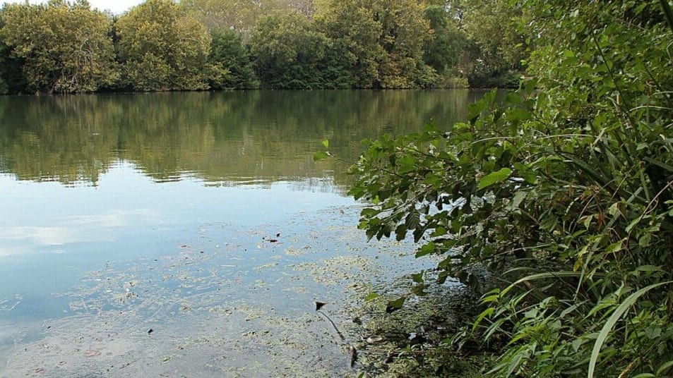 Hérault : après une fugue, un enfant autiste de 6 ans retrouvé nu dans le fleuve accroché aux branches