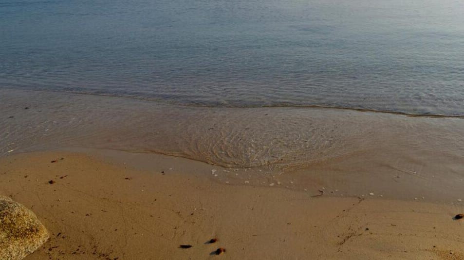 Pyrénées-Orientales : bactéries et matières fécales, la baignade interdite sur la plage de Saint-Cyprien