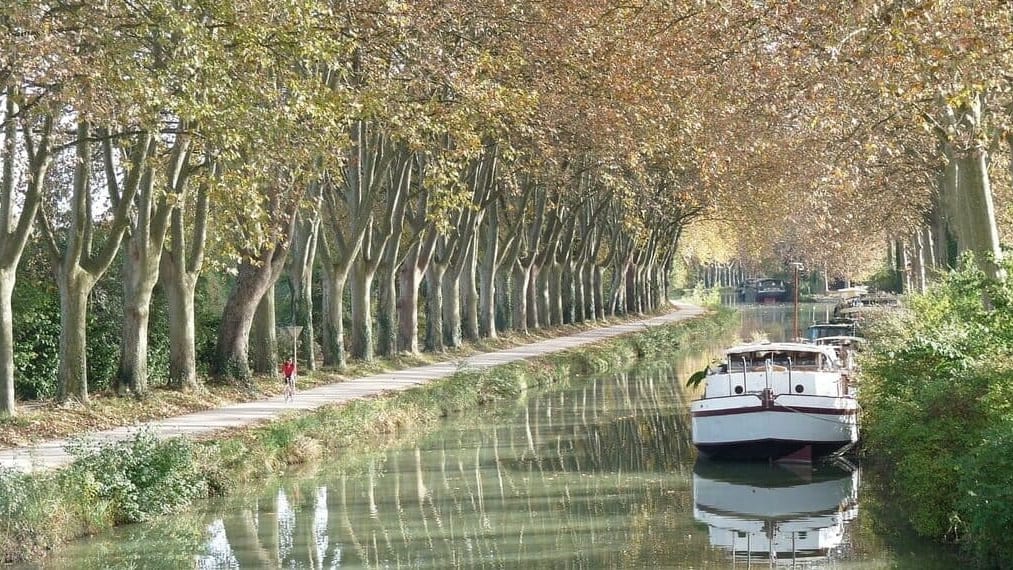 Haute-Garonne : au fil du canal du midi, le Festival Convivencia fait escale à Toulouse