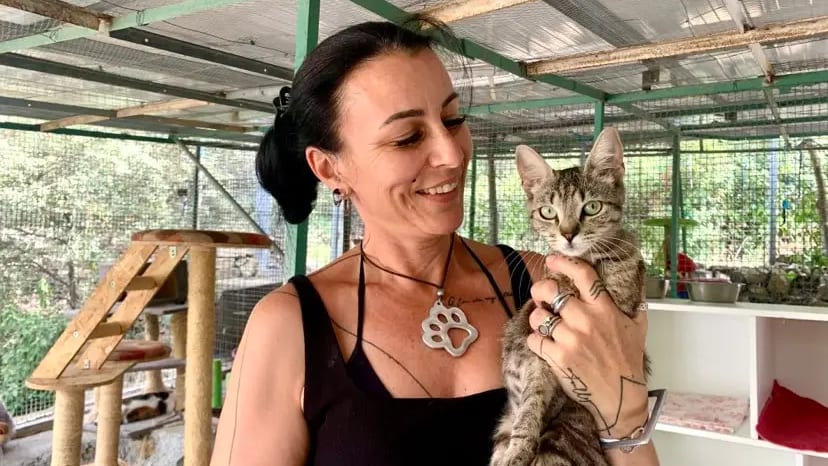 Gard : abandons d’animaux, ces raisons qui poussent les propriétaires à passer à l’acte