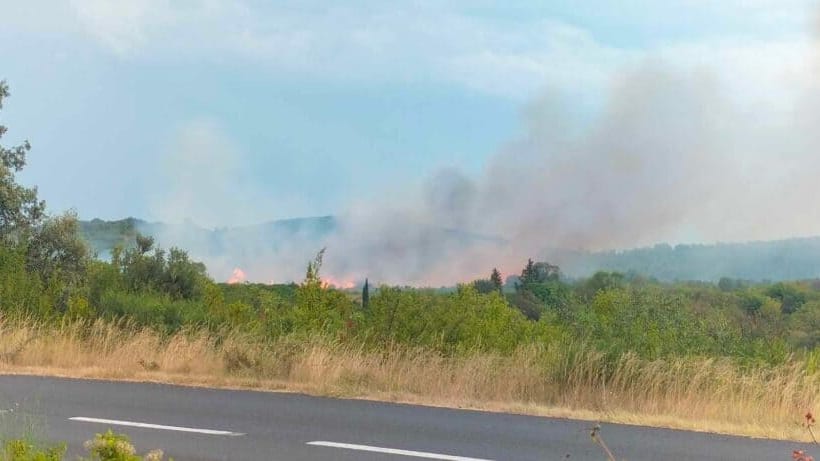 Hérault : à Aniane, un incendie ravage 6 hectares de végétation