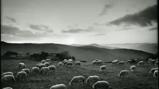 Hérault : exposition « Horizons » à Lunel, des oeuvres qui font voyager