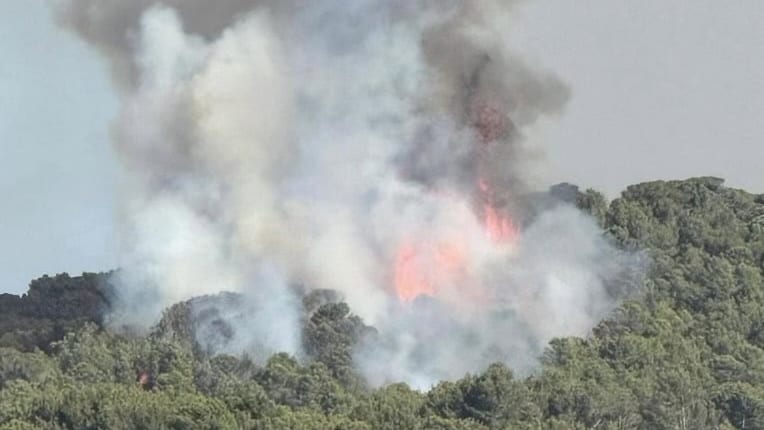 Aude : un important feu de forêt se déclare dans une pinède
