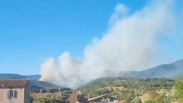 Hérault : des centaines d’hectares de végétation menacées, un important feu se déclare dans un massif