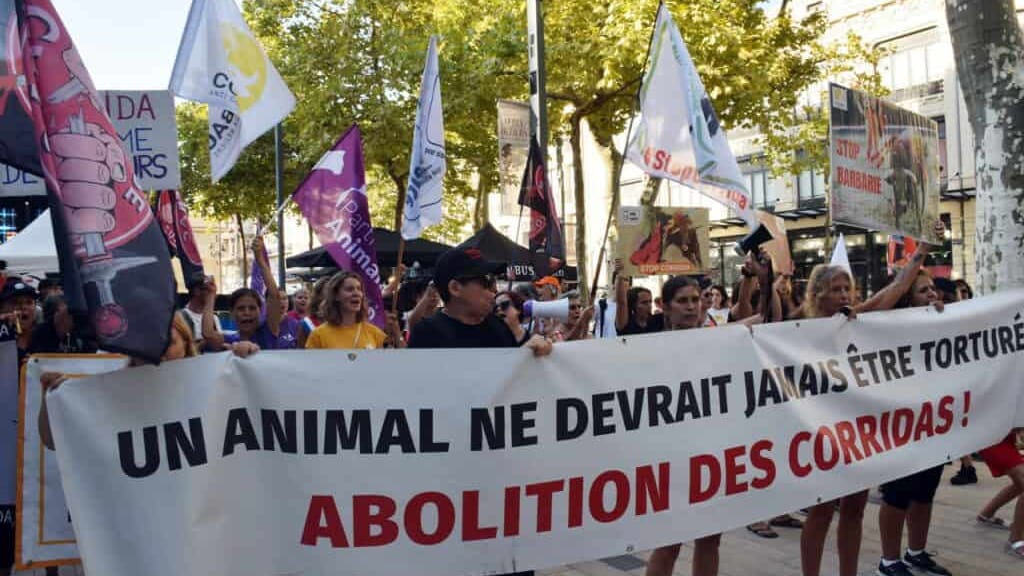 Hérault : manifestation du COLBAC contre la corrida lors de la Féria de Béziers