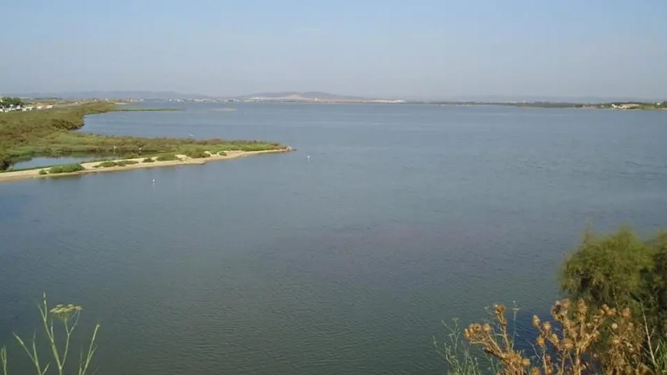 Hérault : à Pérols, l’Étang du Méjean toujours contaminé par des cyanobactéries