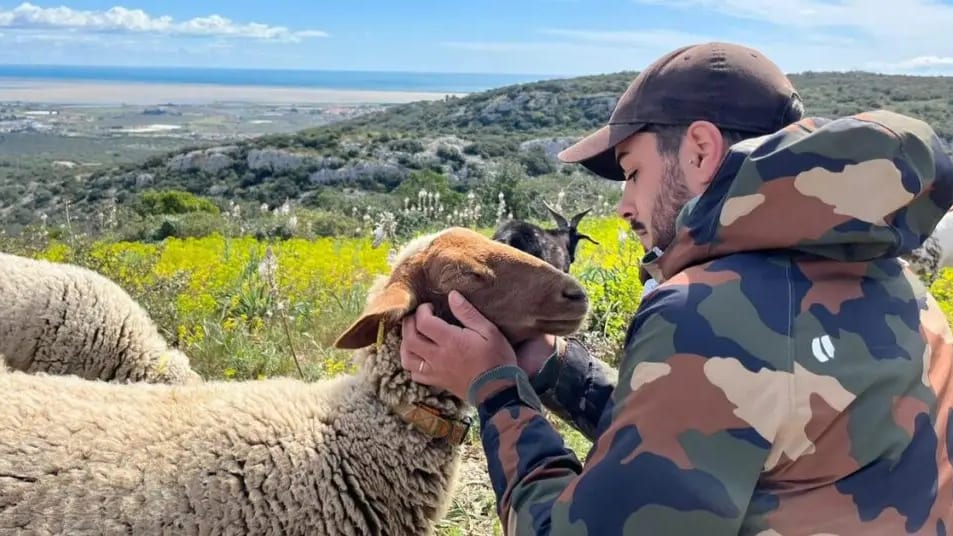 Hérault : dans sa ferme à Gigean, Ricardo vient en aide à des animaux maltraités et à des jeunes au passé difficile