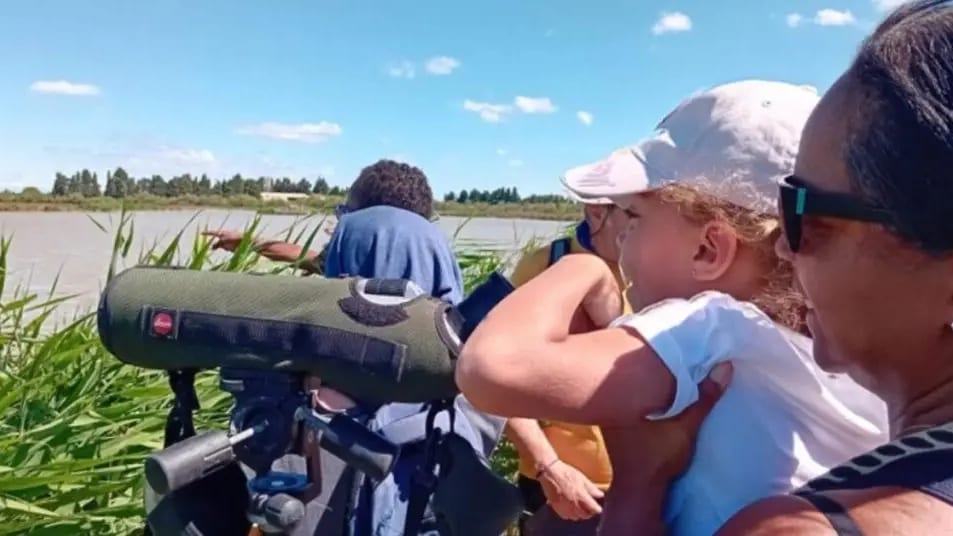 Pays de Lunel : dernière sortie nature « Roselière & Sansouire » en Petite Camargue