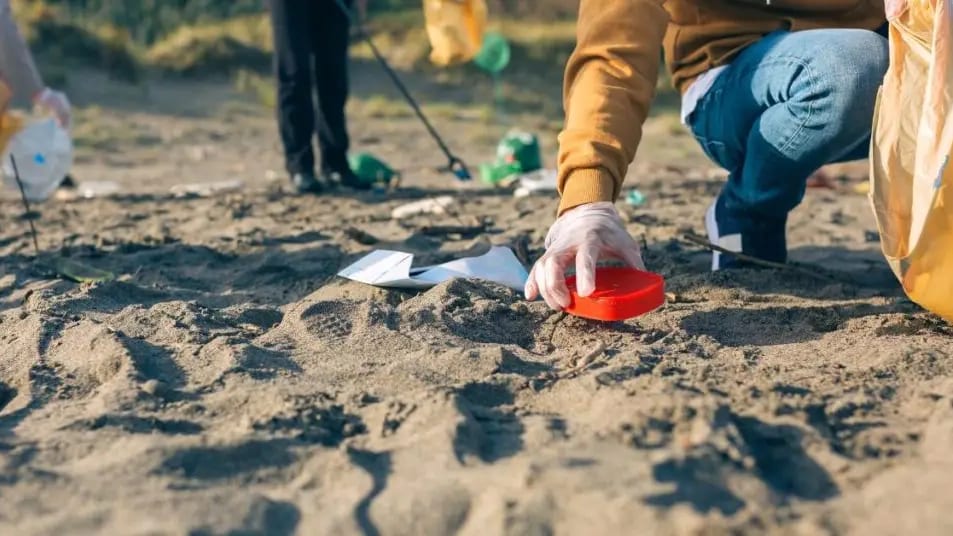 Perpignan : une matinée de nettoyage berges de la Têt prévue lors du World Cleanup Day
