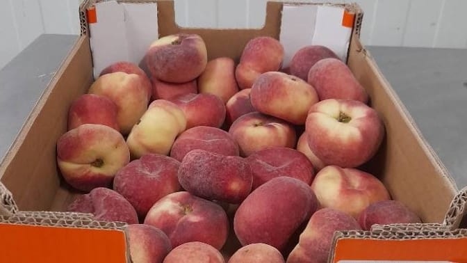 Conso : des pêches plates rappelées dans 4 départements français