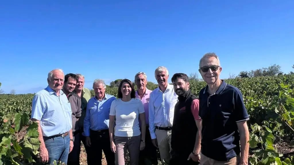 Gard : Denis Bouad et Claire Fita au chevet des viticulteurs à la peine