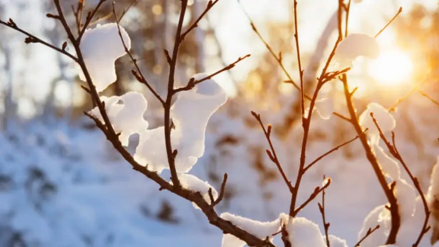 Météo : vent fort, baisse des températures et flocons de neige en Occitanie ces prochains jours