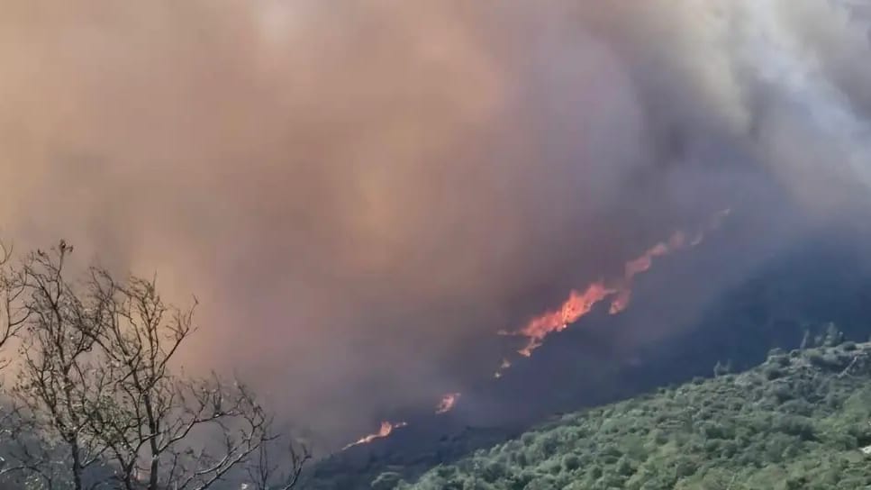 Feu Camelas Pyrénées-Orientales