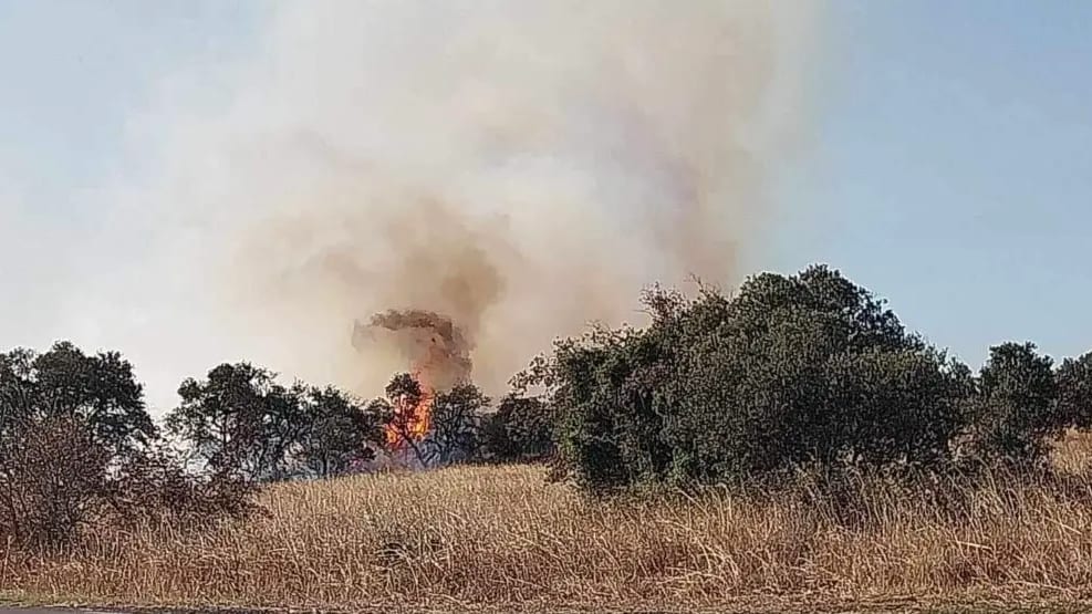 Incendie dans l'Héraut, au Nord de Pézenas. Photo : Kazaa Infos Radars.