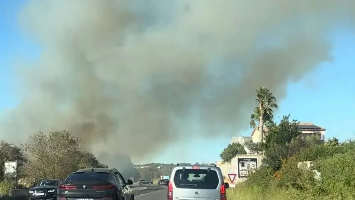 Bassin de Thau : un feu de végétation se déclare à proximité d’un camping