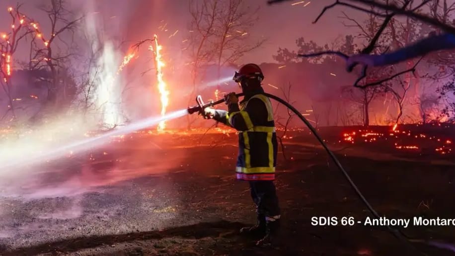 Perpignan : deux départs de feu de végétation simultanés dans la nuit près d’une zone commerciale