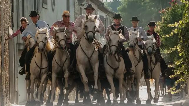 Finale du concours d’abrivado à Nîmes