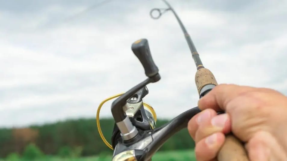 Vidourle : après des années d’absence, le concours de pêche « Marsibass » fait son grand retour à Marsillargues