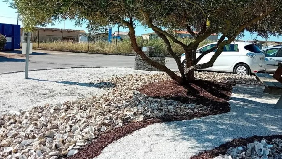 Hérault : les coquilles d’huîtres s’offrent une seconde vie à Sète
