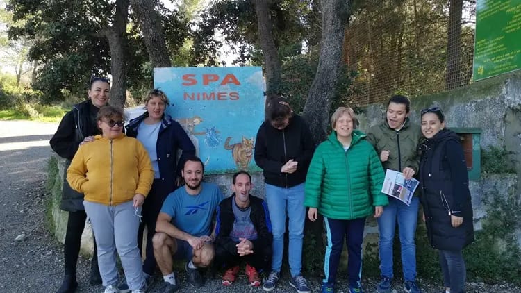 Nîmes : les personnes en situation de handicap à la rencontre des chats de la SPA