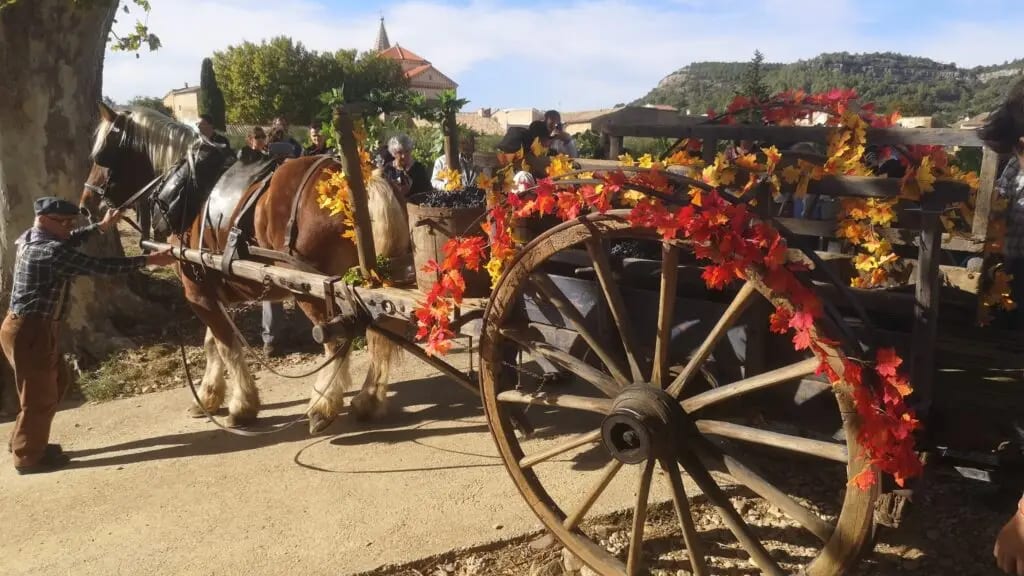 Gard : les Vendanges de l’histoire à Chusclan, entre traditions et famille