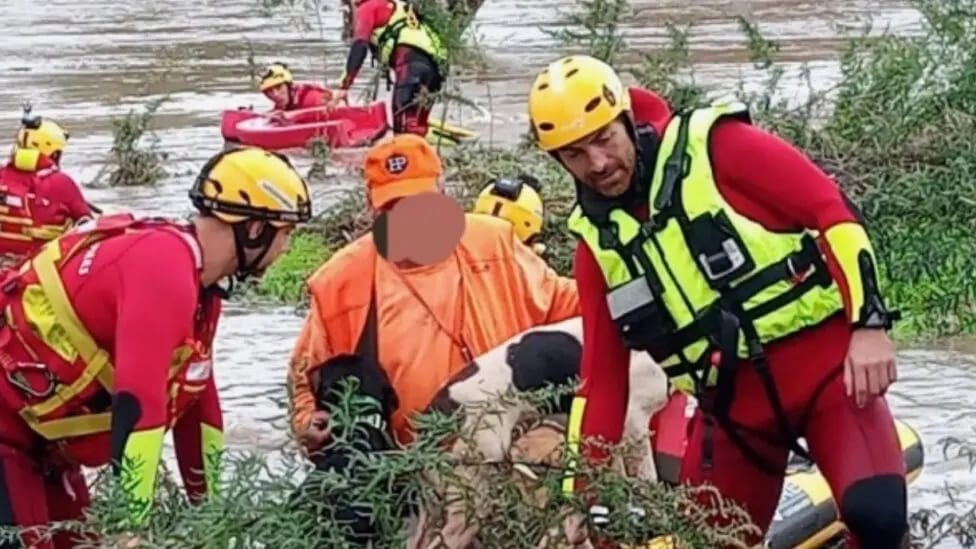 Gard : intervention des pompiers pour un chasseur bloqué par la montée des eaux du Gardon