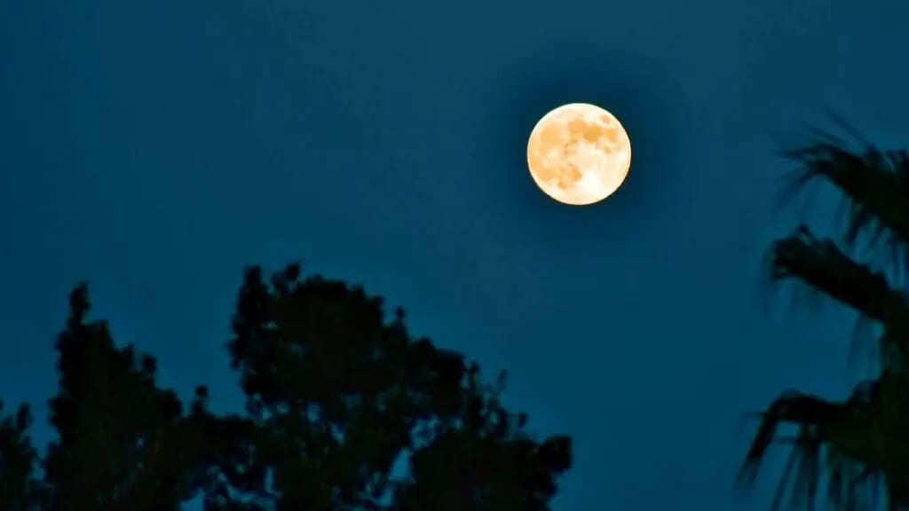 Gard : les fabuleux clichés de la super Lune du castor observée à Aimargues