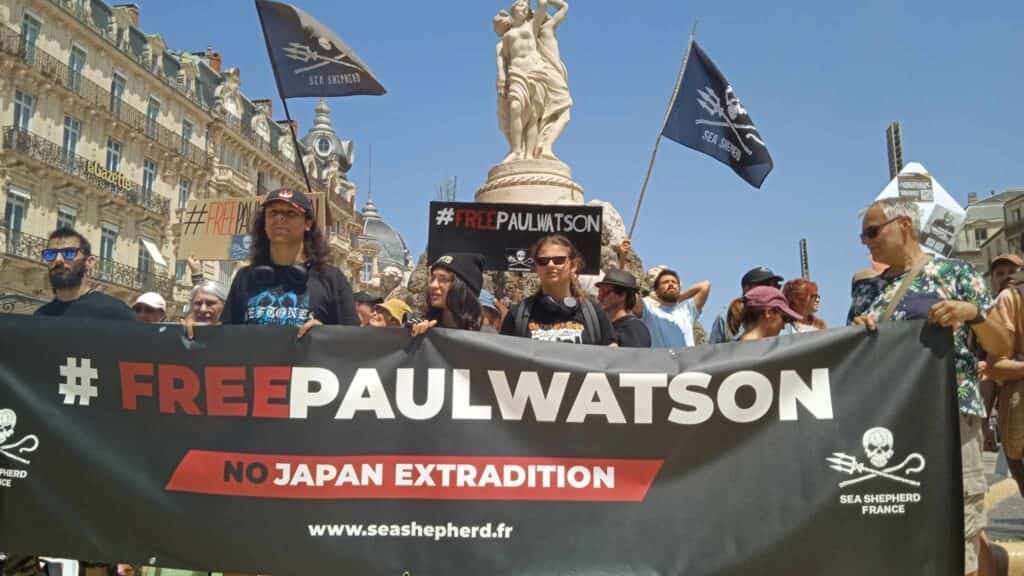 Montpellier : mobilisation en faveur de Paul Watson ce samedi 9 novembre