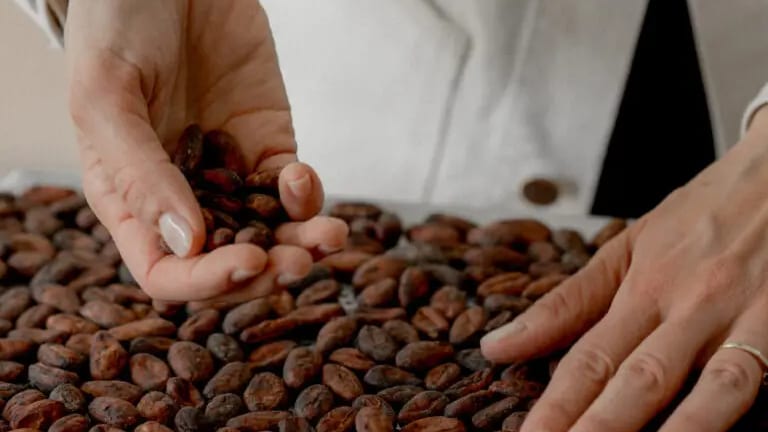 Montpellier : franc succès pour les produits chocolatés ŌME