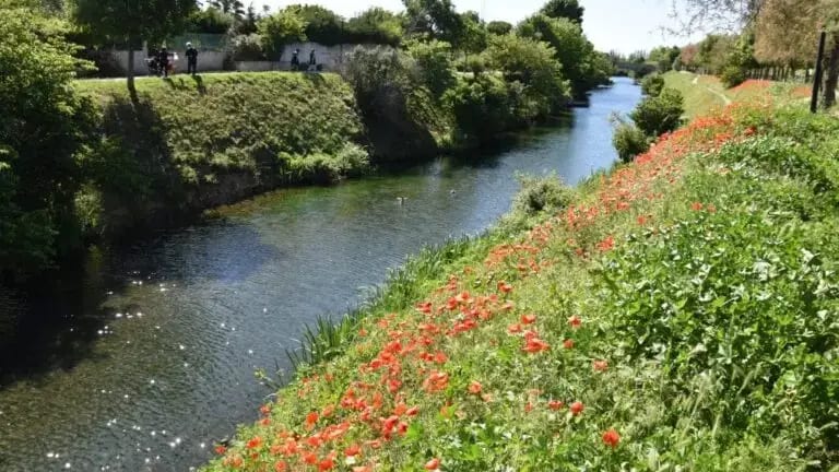 Hérault : entre le Canal de Lunel et son assiette il n’y a qu’un pas